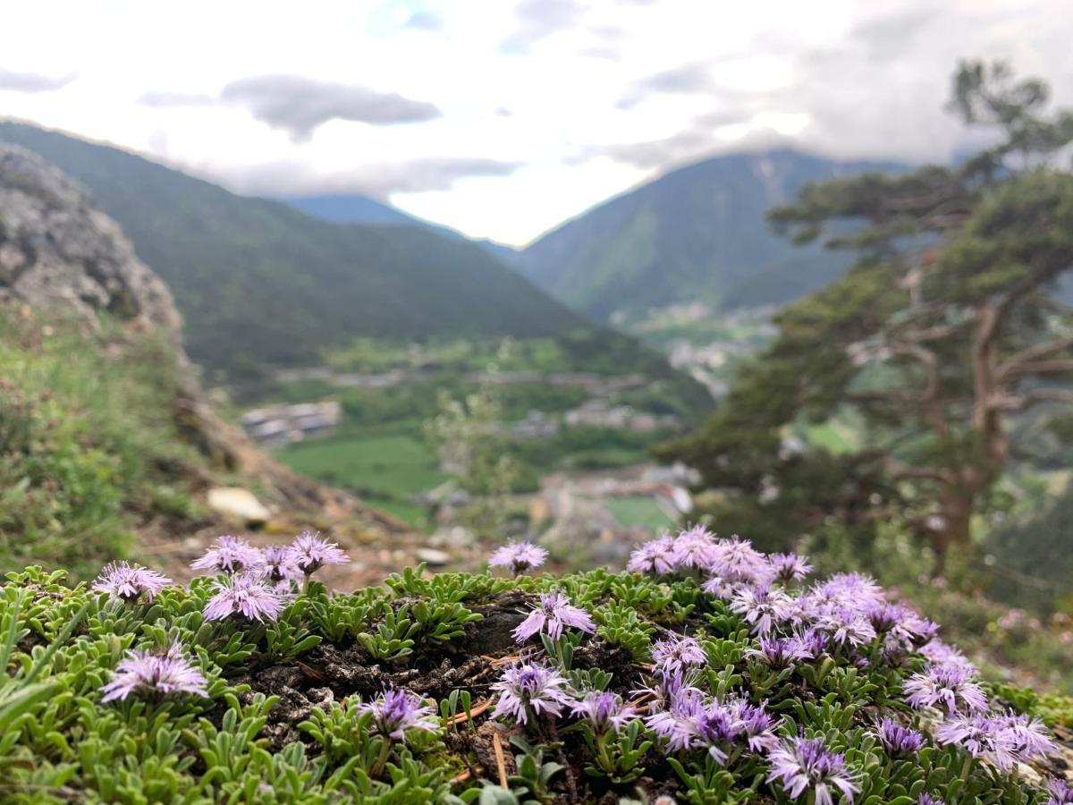 Maians - Peu Del Riu 122 - Vall D'Incles - Soldeu Exteriör bild