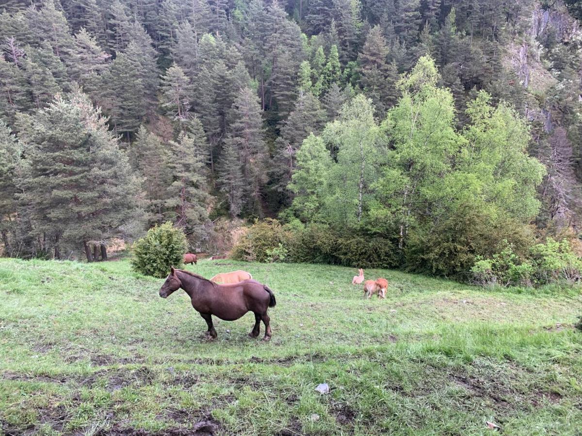 Maians - Peu Del Riu 122 - Vall D'Incles - Soldeu Exteriör bild